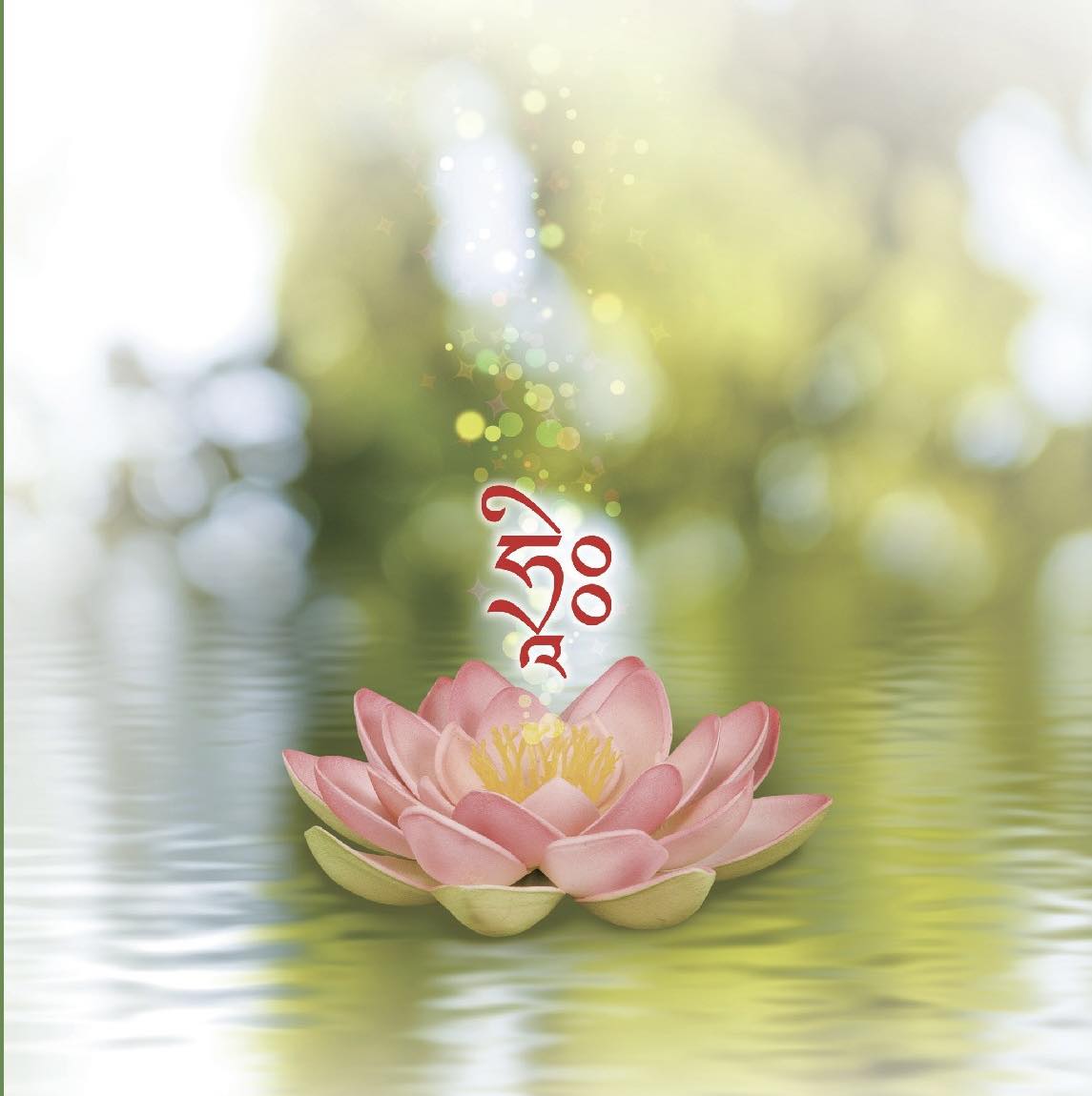 聯合生命：蓮花圖